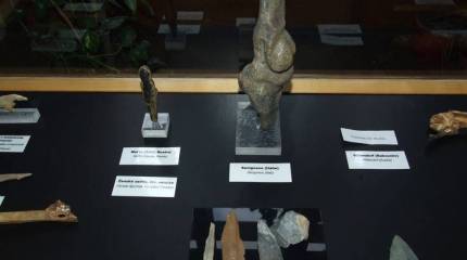 Красотки каменного века: «Палеолитические Венеры»