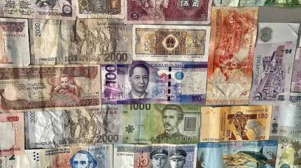 Глава МИД ЮАР: На повестке саммита БРИКС в Йоханнесбурге будет вопрос о введении своей валюты сообщества