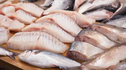 Рыбный вопрос: ЕС оказался среди крупнейших покупателей российской рыбы