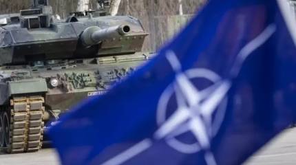 Замгенсека НАТО: У альянса нет ни планов, ни решения по вводу войск на территорию Украины