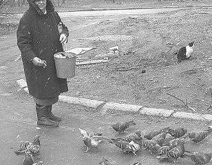 Осенние концерты в госпитале