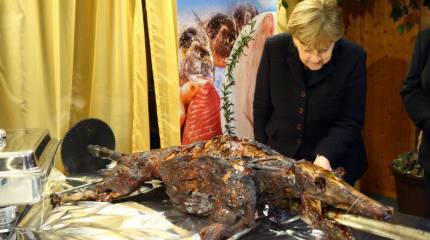 Глава Баварии выдвинул канцлеру ФРГ ультиматум из-за наплыва беженцев