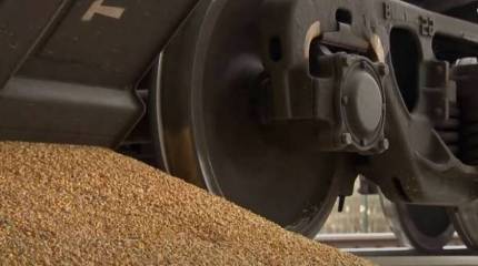 В Киеве определились с маршрутами вывоза зерна с территории страны