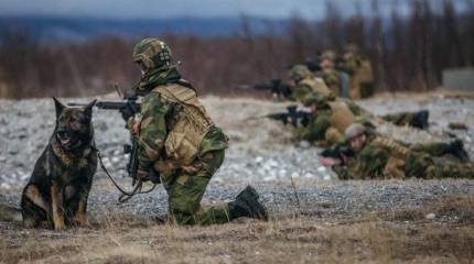 Норвежский генерал: Армия в нынешнем состоянии не может обеспечить надёжную защиту страны
