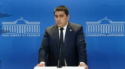 Спикер парламента Грузии: Зеленский не заслуживает поддержки