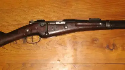 Жизнь и творчество Антуана Бертье