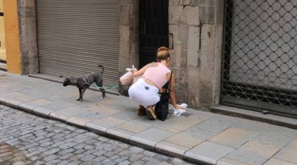 Европа и Россия: транспорт и мусор