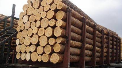 Украина. Распродажа. Самовывоз