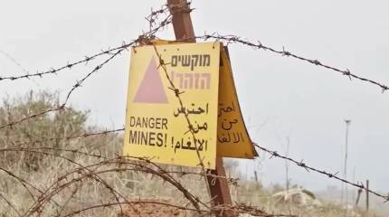 Депутаты парламента Финляндии высказались за выход страны из конвенции по запрету противопехотных мин