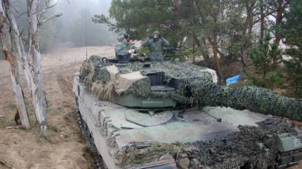 "Wilk" и "Borsuk": министерство обороны Польши выбрало направление модернизации армии