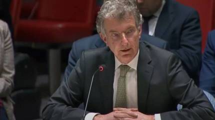 «Скатертью дорога»: китайский дипломат высказался о завершении работы постпреда Германии в Совбезе ООН