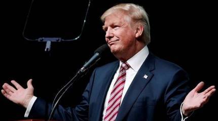 В США раскрыли причины ненависти Дональда Трампа к Украине