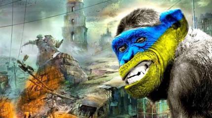 Не срочно в номер. Зачем в зоопарке границы