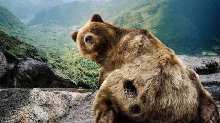 Танцы с медведями ( The Soul of the East )