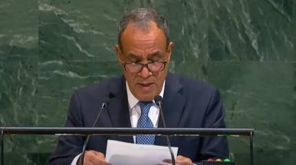 В Египте объяснили, почему Россия и Китай не приехали на саммит по Газе