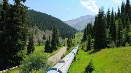 Казахстан запрещает экспорт нефтепродуктов на 6 месяцев