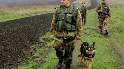 Киев готов предложить ЛДНР совместный контроль над границей с Россией