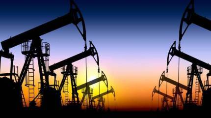 Существование 80% россиян нецелесообразно для экономики Существование 80% россиян нецелесообразно для экономики