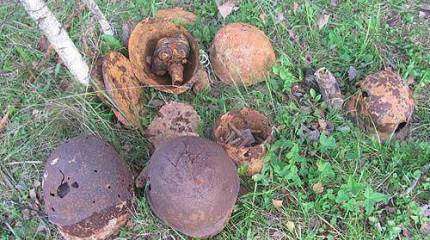 Рождённый долго жить (рассказ)