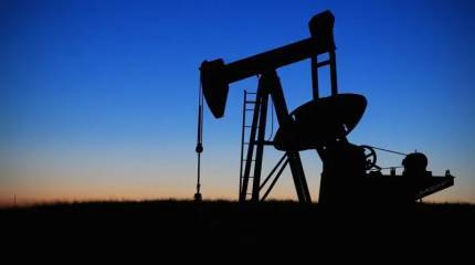 Власти США заблокировали для Китая возможность покупать нефть из американских стратегических резервов