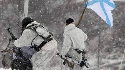 Пресс-служба СФ РФ: в 2015 году продолжится комплекс арктических учений бойцов морской пехоты