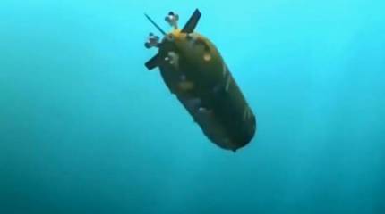 СМИ: в России сформируют дивизию носителей суперторпед «Посейдон»