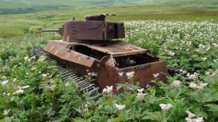 «Военный союзник» на скамье запасных: военная реальность России в Бразилии