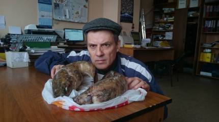 Богатства водоёмов России