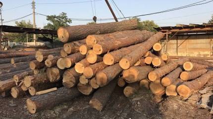 В Киеве напряженно размышляют: что бы ещё продать и кому