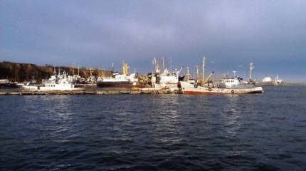 Указом Порошенко в ВСУ на 25 % увеличено количество штабов и генералов