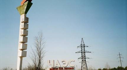 Украинская компания много лет растила пшеницу в Чернобыльской зоне отчуждения