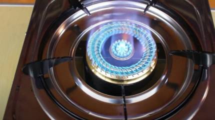 Украинский премьер: Правительство никогда не даст в обиду украинцев с точки зрения цен на газ