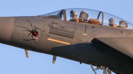 Американские "Strike Eagle" предстали в боевой раскраске