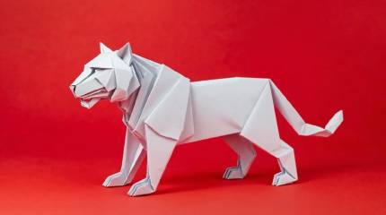 Медведев прокомментировал слова Трампа о том, что Россия - «бумажный тигр»