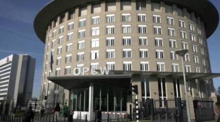 Раскол вместо реформы. Какое будущее ждёт ОЗХО?