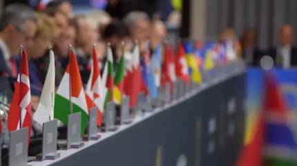 Саммит «курам на смех»: за суверенитет и территориальную целостность Украины высказалось Косово, которое НАТО насильно отторгло от Сербии - без референдума