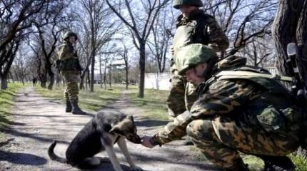 Если бы российские власти в 2014-м пошли до конца...