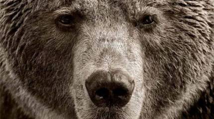 Своеобразие русского национального характера ("Literarni noviny", Чехия)