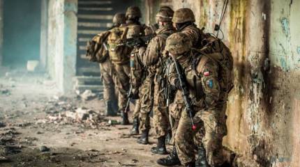 Сенат Польши решил сократить военные расходы государства