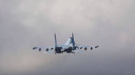 Два штурмовика Су-25 и истребитель МиГ-29 ВВС Украины были сбиты российскими Су-35С