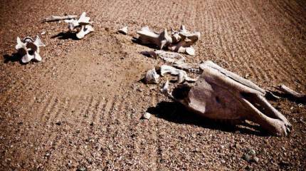 За финишной чертой эпохи потребления