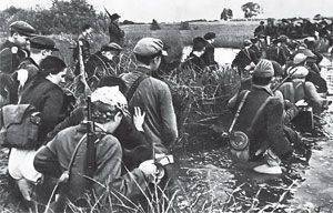 Польских партизан не было