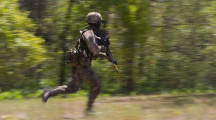 Великобритания существенно сократила численность своих войск в Эстонии