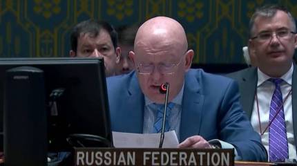 Представителей Литвы и Румынии не пустили на заседание Совбеза ООН по Украине