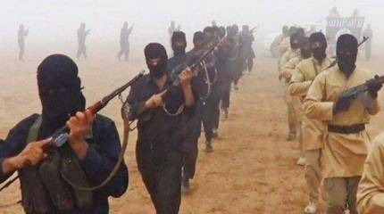 В МИД РФ рассказали о разногласиях в мировом сообществе по поводу создания единого списка террористических организаций