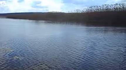 Украинские нацбаты взорвали дамбу к востоку от города Изюм в попытке затруднить наступление российской армии