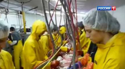 Что будет с экономикой России. Реплика Александра Привалова