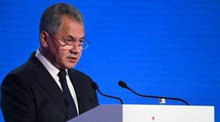 Шойгу: Силовое давление на Россию не оставим без внимания