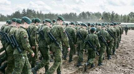 Литовский "Железный волк" больше не датский, он теперь немецкий