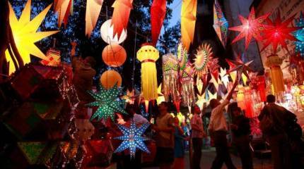 Сказки старого Маугли. Акела, никогда не верь шакалу!